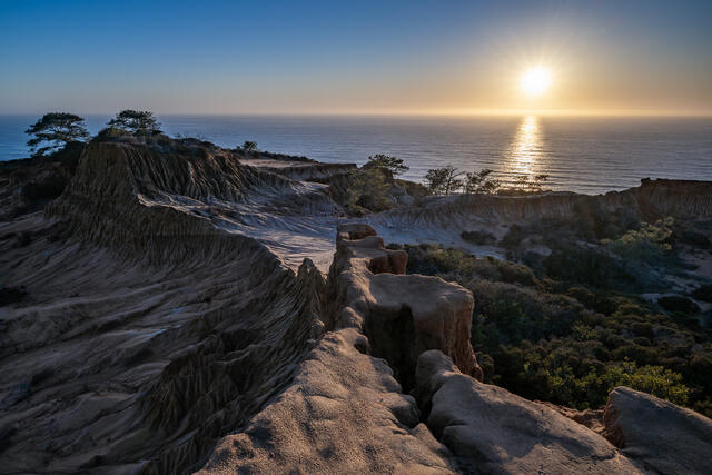 Torrey Pines print