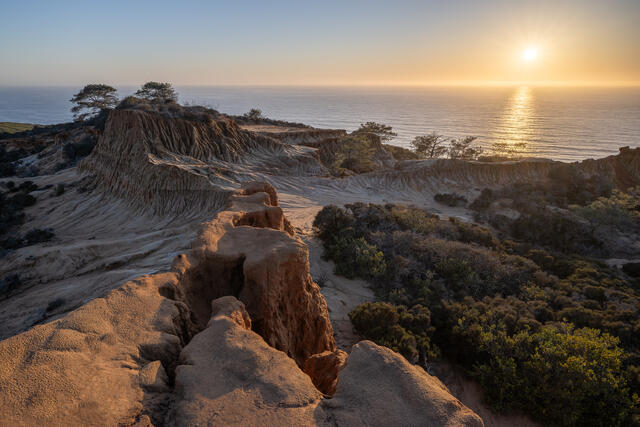 Torrey Pines print