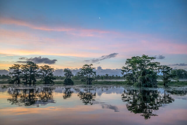 Clouds, Trees and Moon at Dawn print
