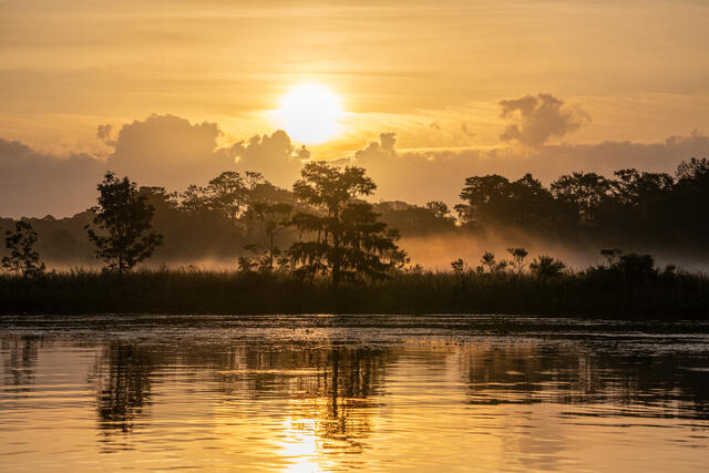 Foggy Sunrise on a Calm Morning print