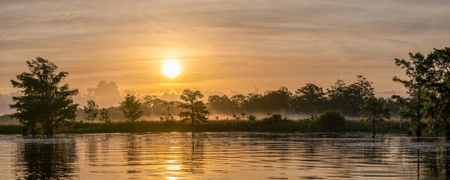 Foggy Blackwater Sunrise print