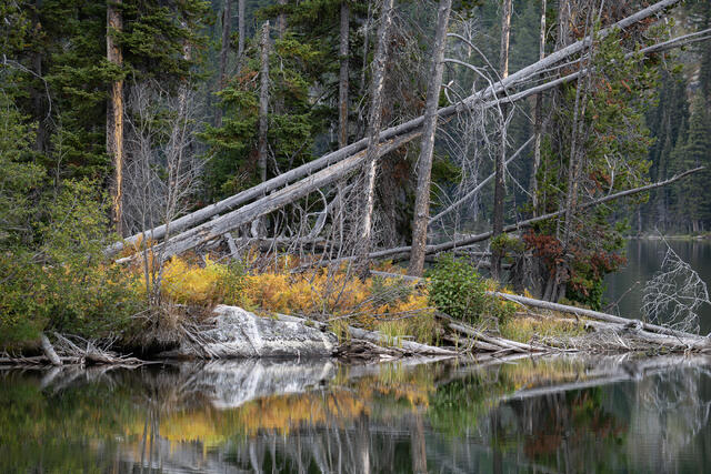 Taggart Lake, Fall print