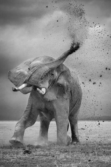 Spraying Dirt print