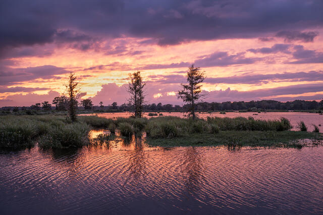 Blackwater Marsh Sunset print