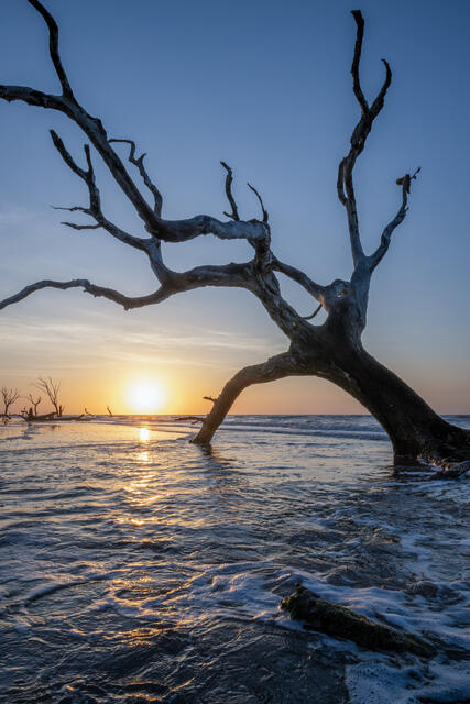 Sunrise Surf at the Boneyard print