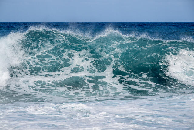 Bearing Wave print