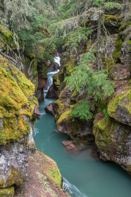 Avalanche Creek print