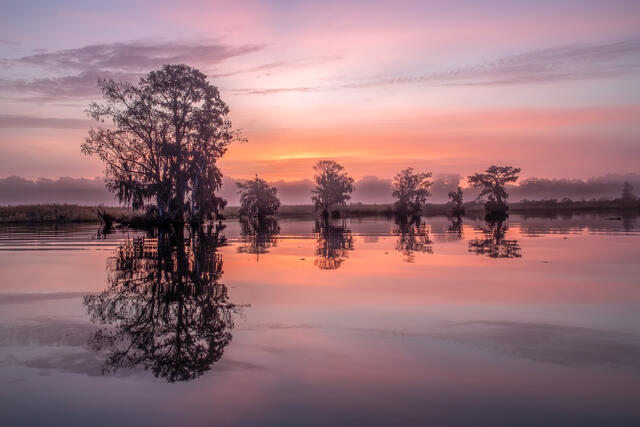 Pastel Reflections print