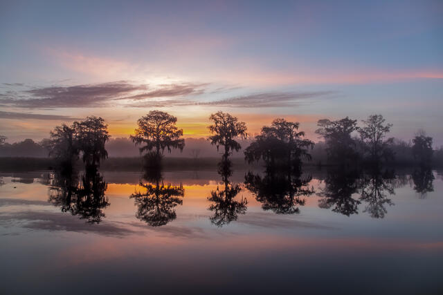 Blackwater MIrror print