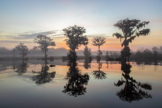 Foggy Dawn print