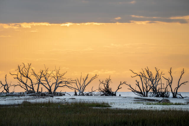 Dawn at Boneyard Beach print