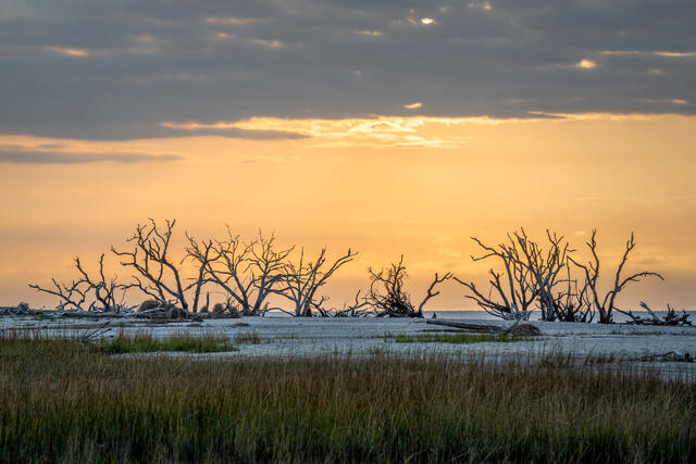 Start of a New Day at Boneyard Beach print