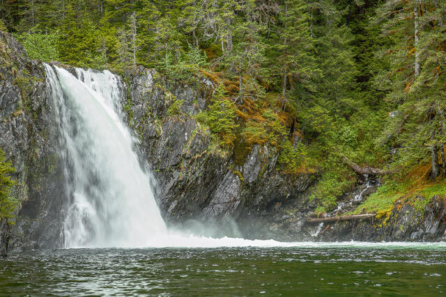 Temperate Rainforest Waterfall print