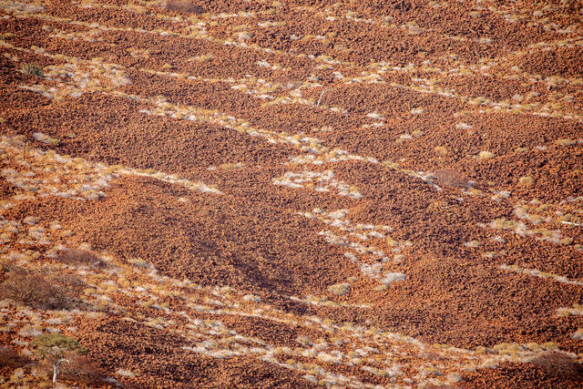 Desert Patterns print