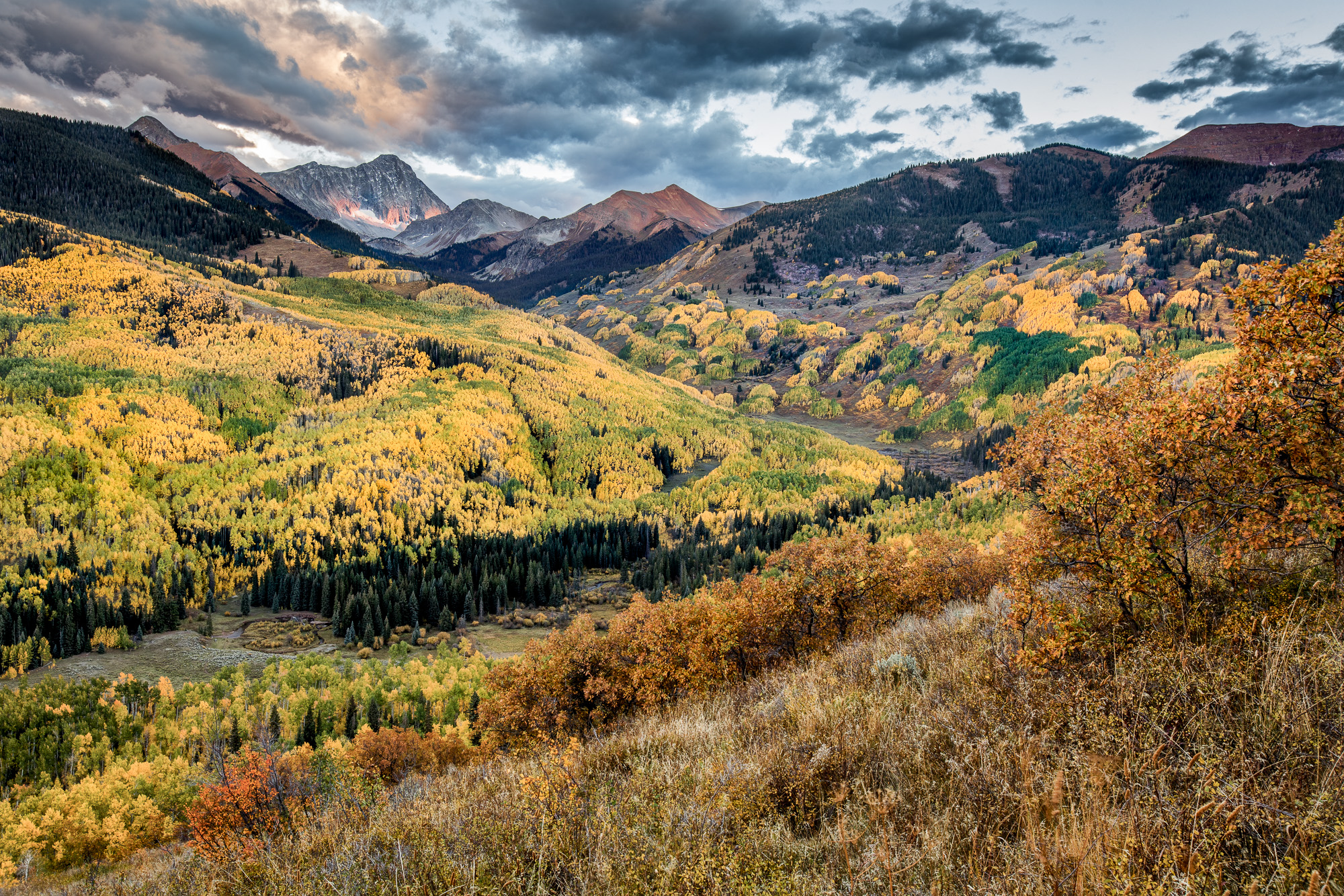Colorado, CO, United States, US, USA, Fall, Color, Fall Color, Autumn, Autumn Color, Aspens, aspen, tree, trees, America, mountain...