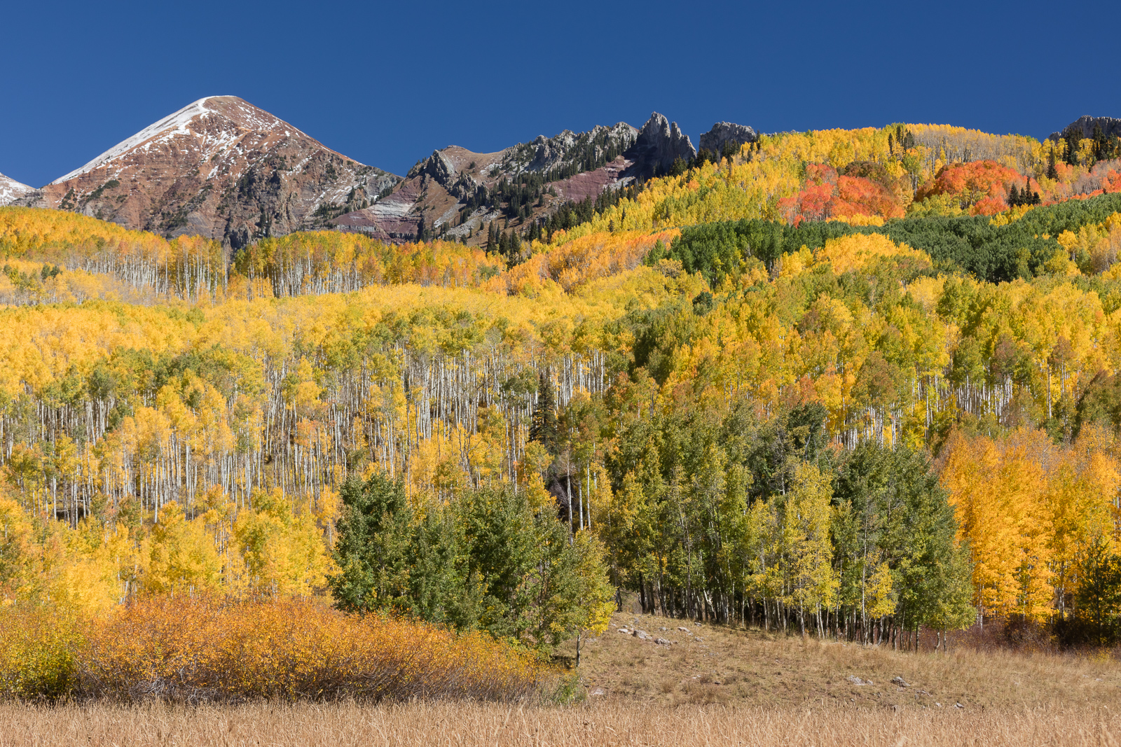Kebler Pass