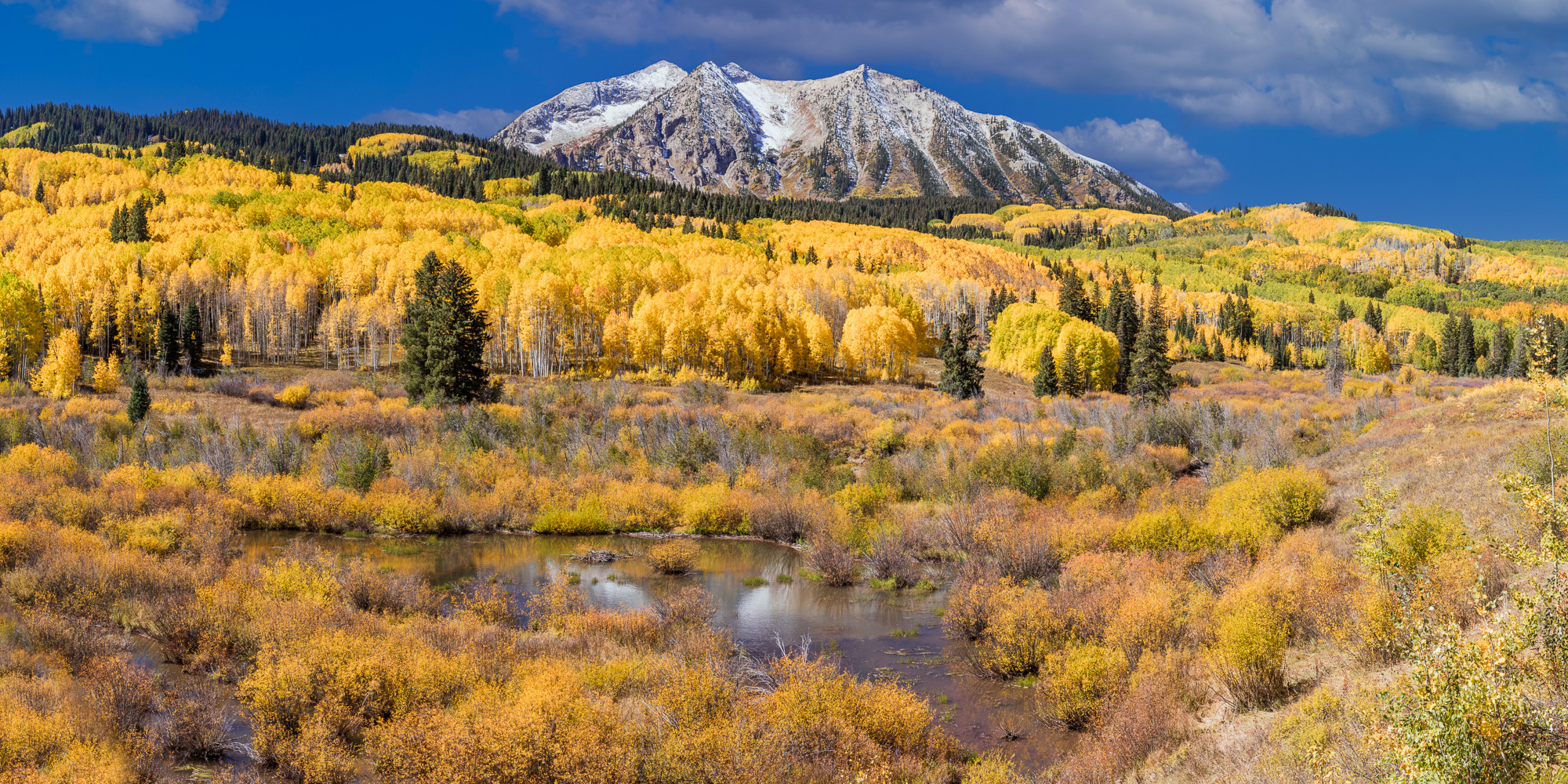 Colorado, CO, United States, US, USA, Fall, Color, Fall Color, Autumn, Autumn Color, Aspens, aspen, tree, trees, America,  mountain...