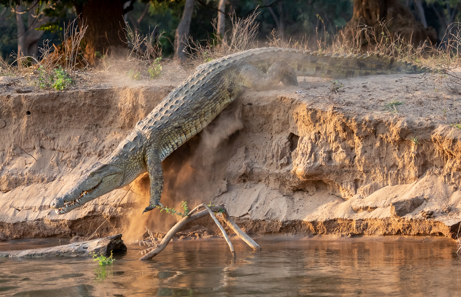 Zambia, africa, zambezi