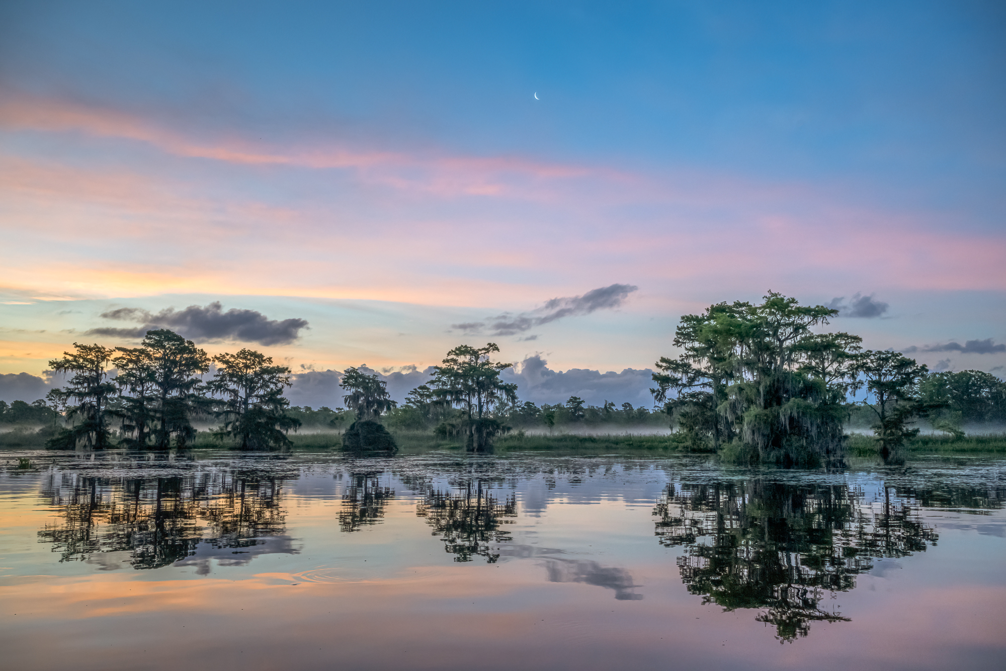 Clouds, Trees and Moon at Dawn clouds, moon, trees and sky are reflected at dawn on a calm morning on a blackwater river in South Carolina.