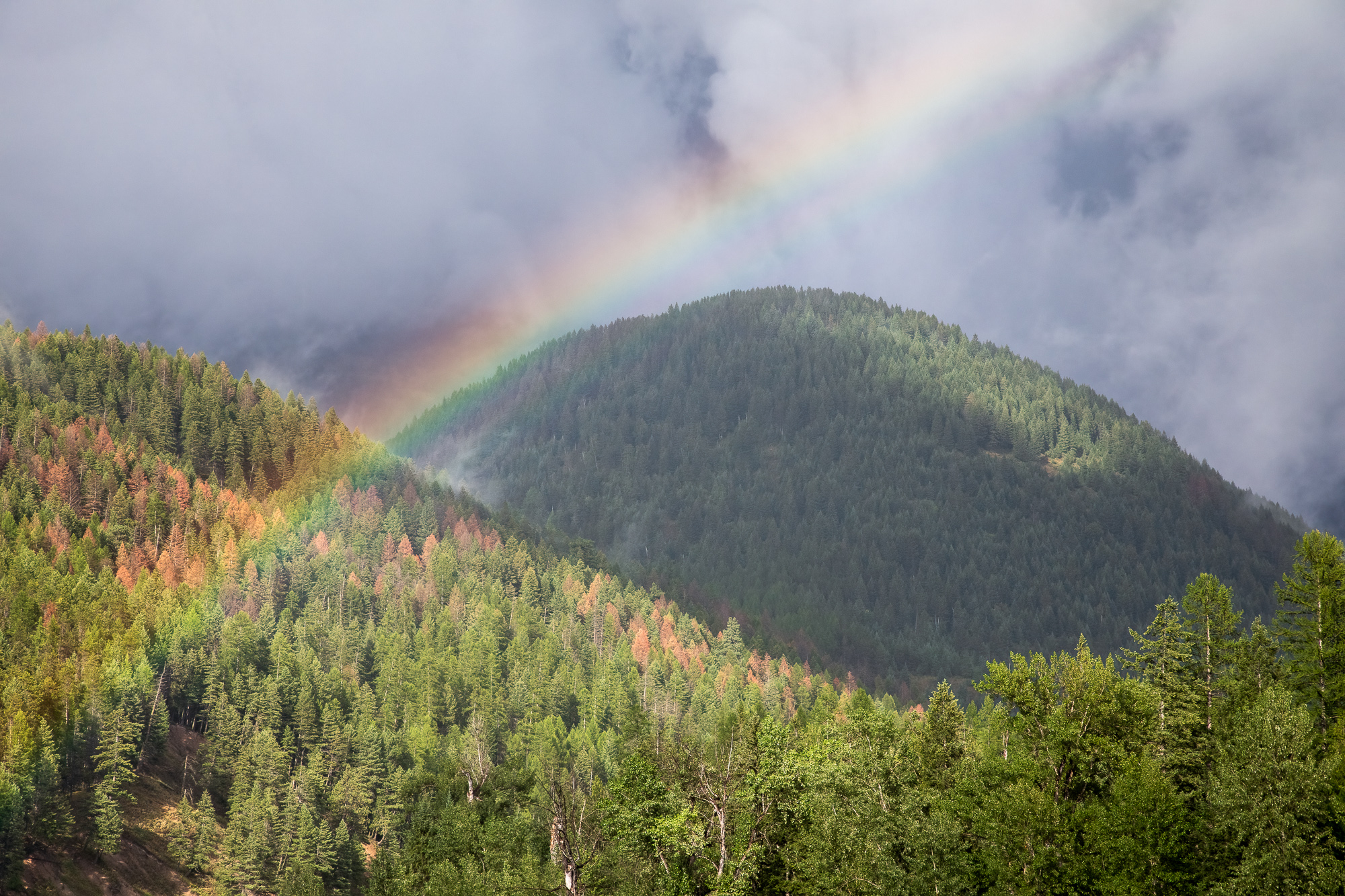 Rainbow and Mountains A rainbow forms as a storm clears along the middle fork of the flathead river in Montana