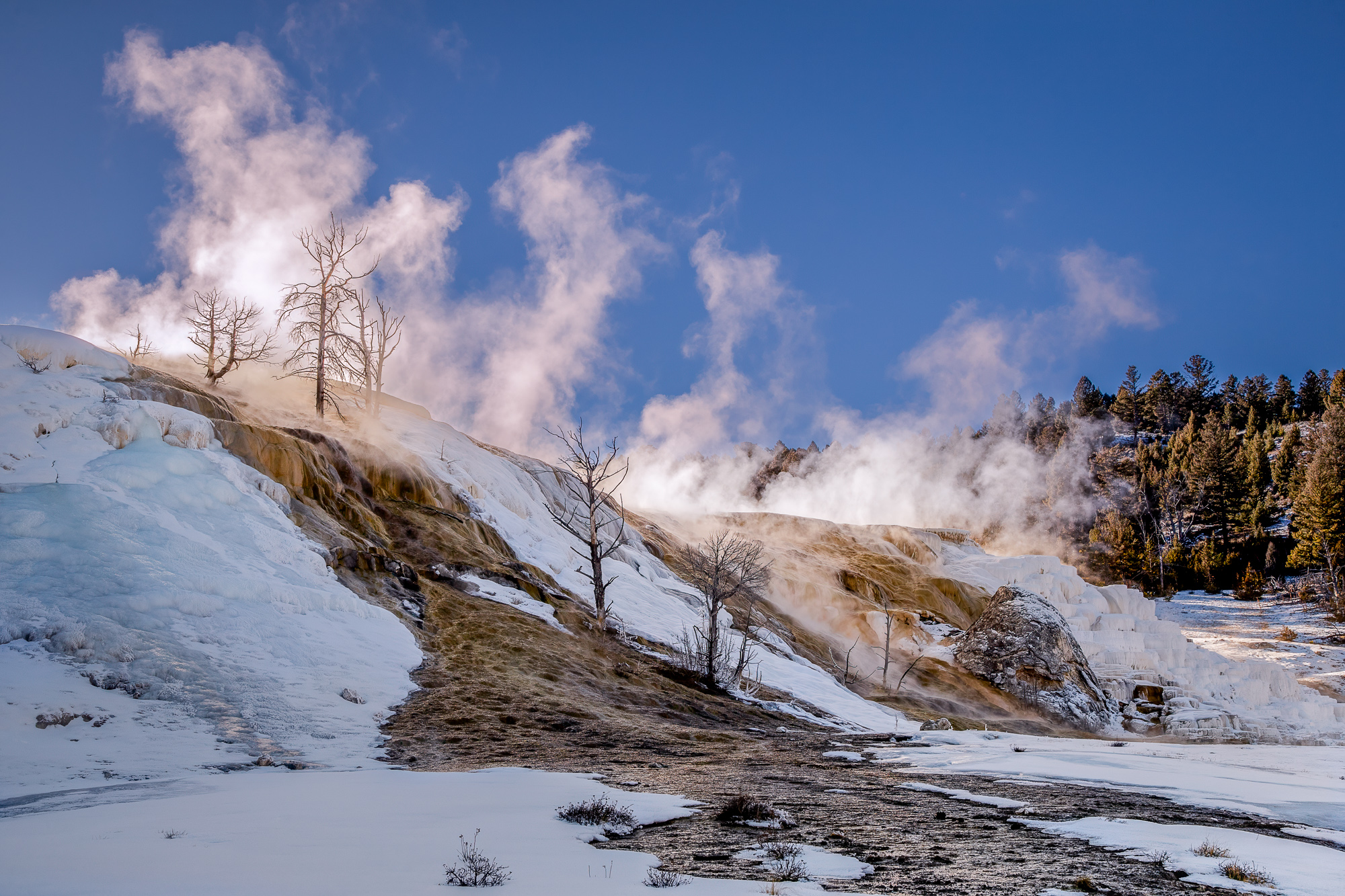 Mammoth Hot Springs in Winter Steam erupts over the mammoth hot springs limestone terraces in Yellowstone national park in the winter.